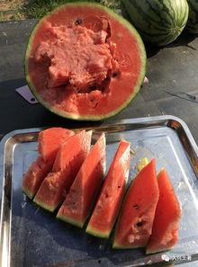 近一年吃瓜事件网红,网红事件盘点  第2张