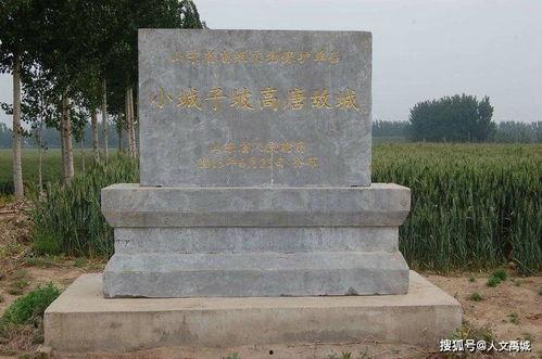 横店三子爆料自媒体视频,揭秘娱乐圈幕后真相，自媒体视频曝光惊人内幕  第1张