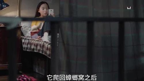 秘密储藏室爆料视频,独家爆料视频背后的惊人真相  第2张