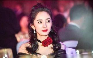 娱乐圈频繁爆料的明星,明星隐私揭秘与舆论漩涡  第2张