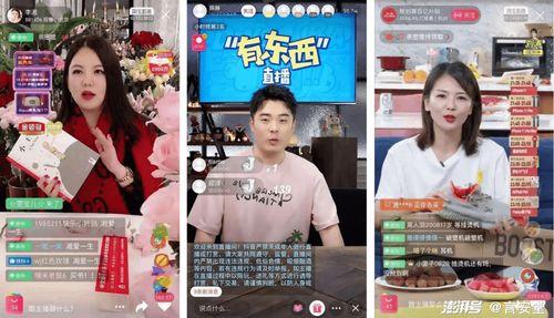 爆料狗仔带货视频大全,揭秘明星网红带货背后的秘密  第3张